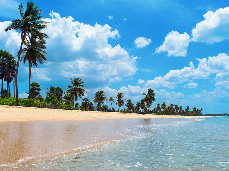 Bentota