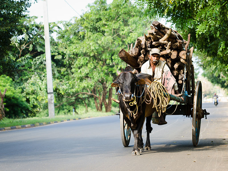 Village Life